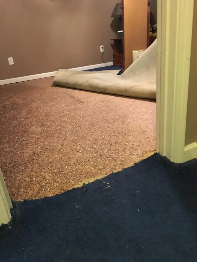 Carpet pad removal revealing water damage during Drying & Dehumidification in Hopedale