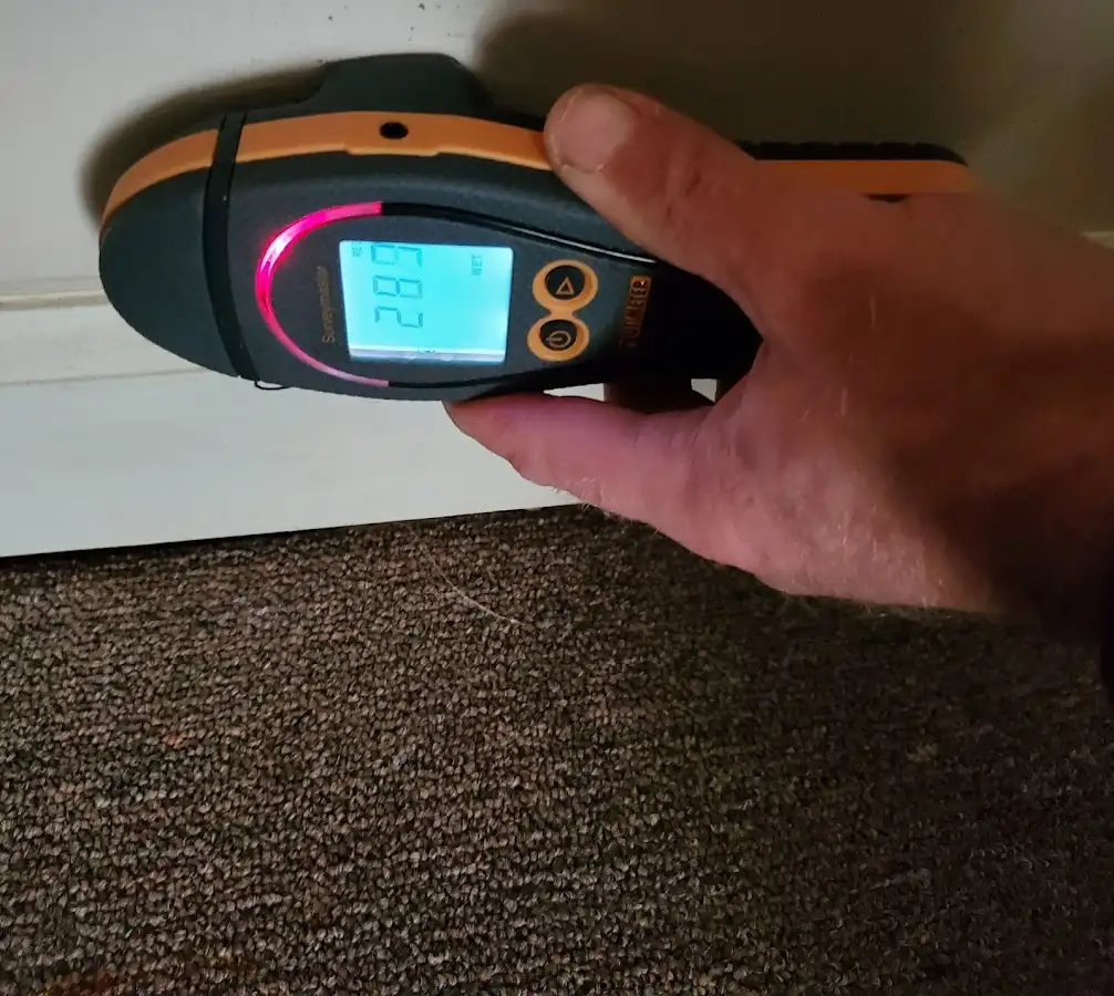 Moisture detection at baseboard during Sewage Cleanup & Sanitation in Hopedale